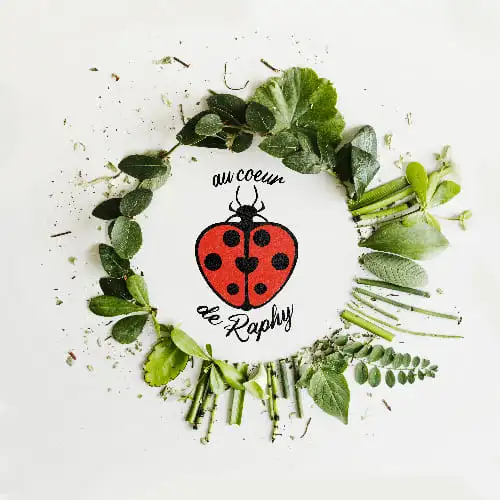 logo pour Raphy